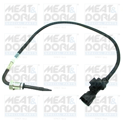 Sensor, exhaust gas temperature